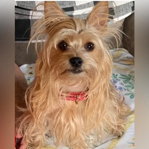 Mia’s - Picture 1 of 1